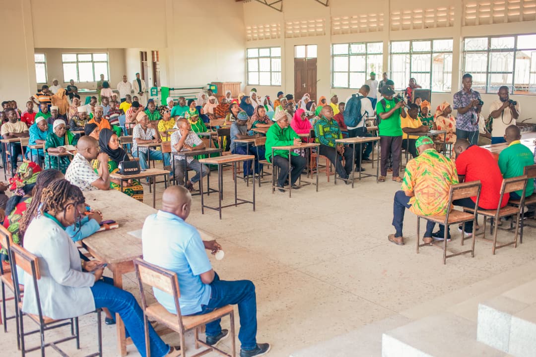 Jafo Foundation Activity 12