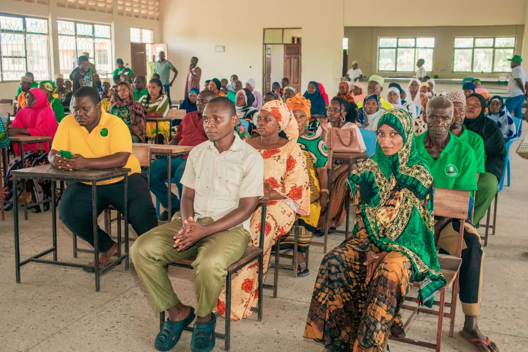 JAFO Foundation Activity 3